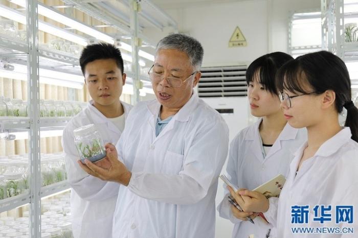 20200813175428921307033_1.jpg 20200813175428921307033_1.jpg