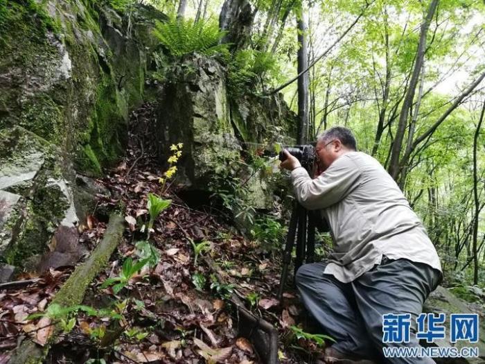 20200813175438703245001_1.jpg 20200813175438703245001_1.jpg