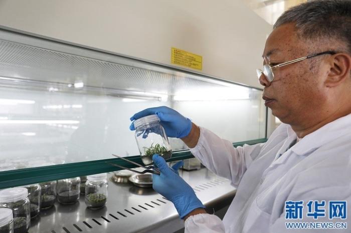 20200813175446781665553_1.jpg 20200813175446781665553_1.jpg