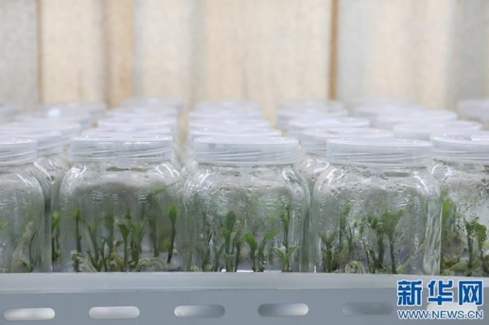 20200813175505828242063_1.jpg 20200813175505828242063_1.jpg