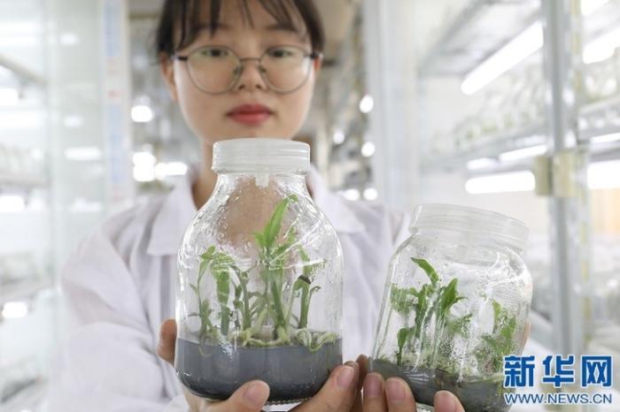 20200813175516328181839_1.jpg 20200813175516328181839_1.jpg