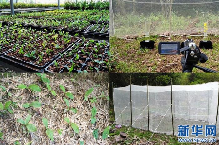 20200813175532437664011_1.jpg 20200813175532437664011_1.jpg