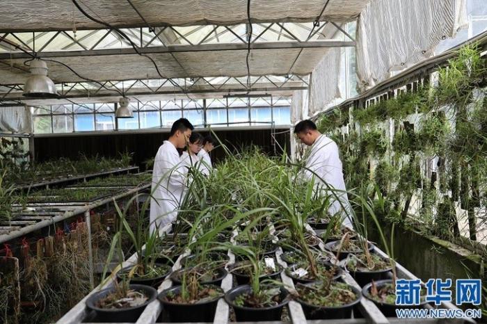 20200813175550484875948_1.jpg 20200813175550484875948_1.jpg