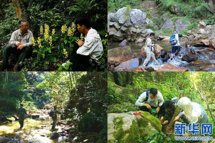 20200813175559171604201_1.jpg 20200813175559171604201_1.jpg