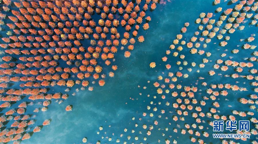 冬日.jpg 冬日.jpg