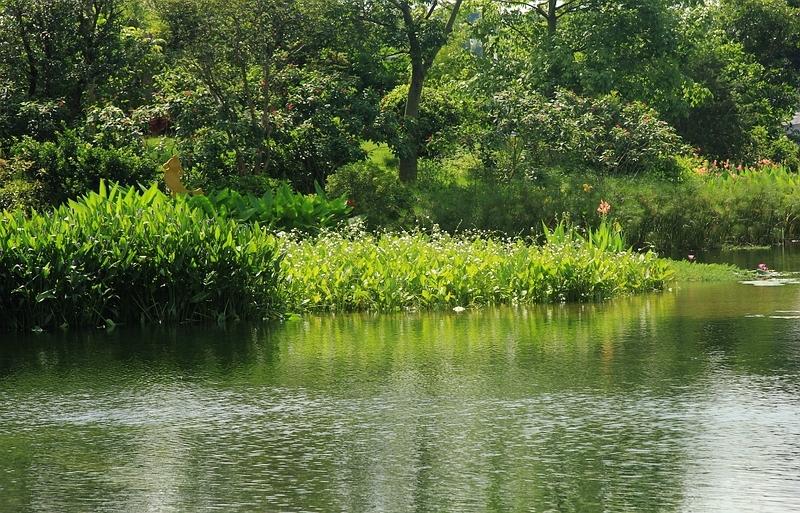 湿地2.jpg 湿地2.jpg