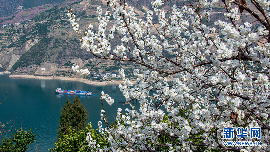 又是一年.jpg 又是一年.jpg