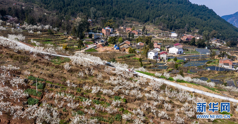 民宿.jpg 民宿.jpg