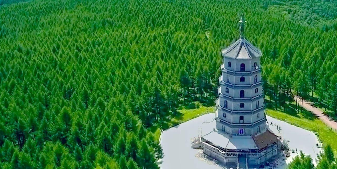 塞罕坝.jpg 塞罕坝.jpg