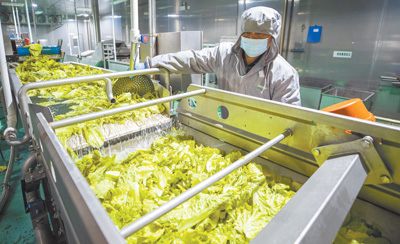 浙江.jpg 浙江.jpg