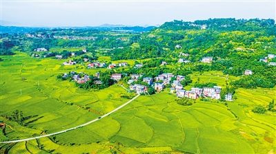 林田湖.jpg 林田湖.jpg