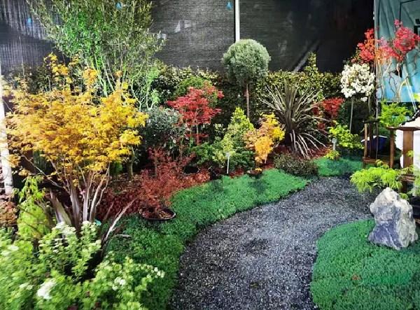 花木.jpg 花木.jpg