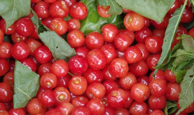 果类.jpg 果类.jpg