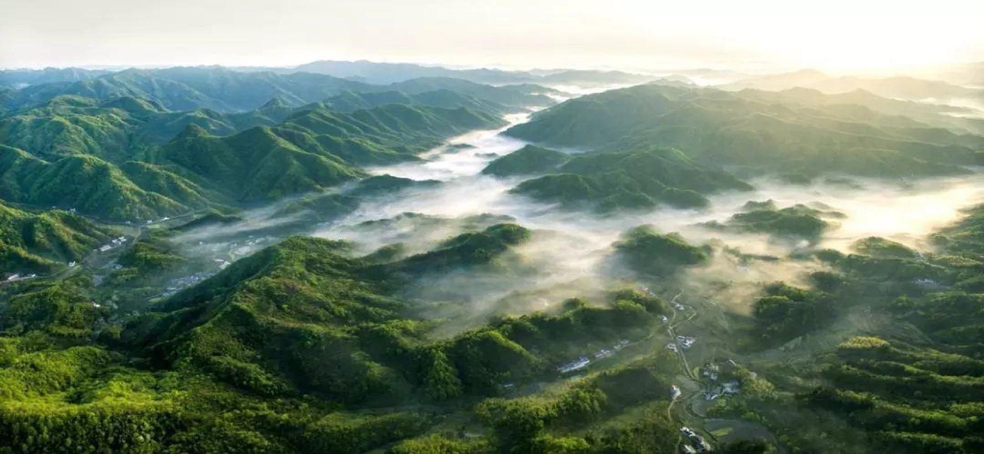 大别山区焦点图924.jpg