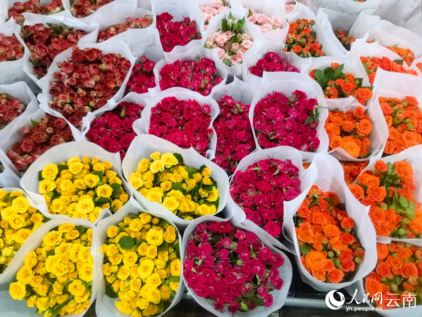 市场内正在销售的鲜花。人民网记者 黄玉琦摄