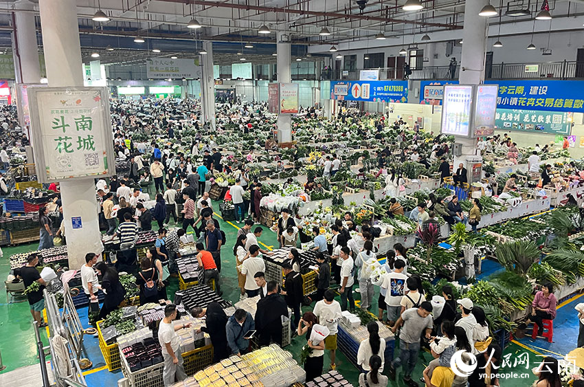 斗南花市内热闹非凡。人民网记者 何晶茹摄