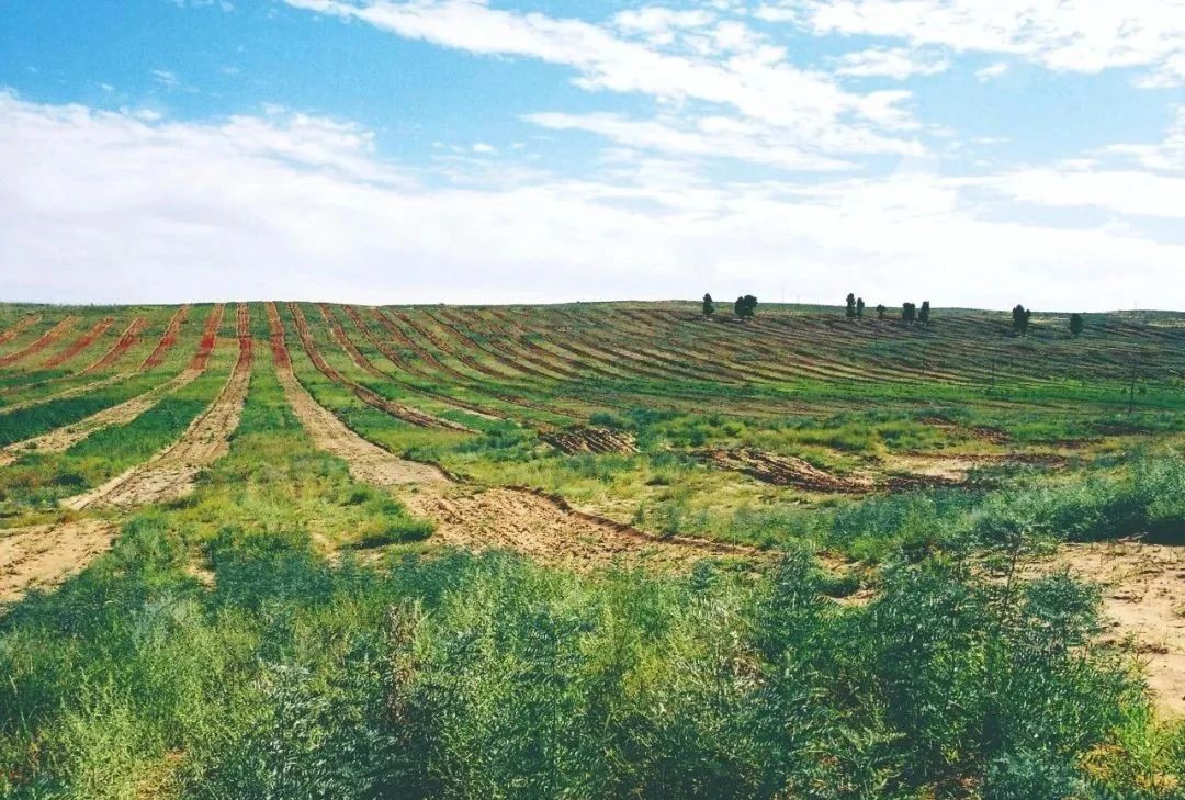 1748312546818354.jpg 63c20906e966c73a419947be7e8c4826.jpg