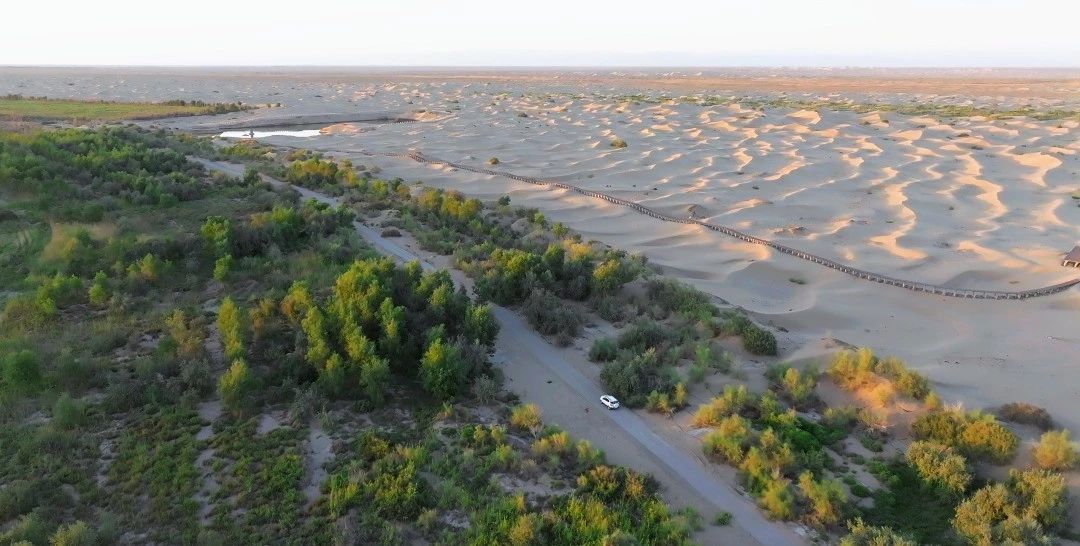 1748312596223961.jpg f53c90d39a2b33c8c63b8b53fbc12639.jpg