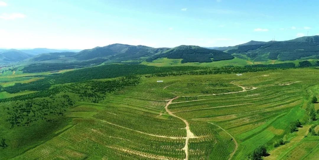 1748312829666762.jpg e8c166d59fd02b7ebacb326a2656c06a.jpg