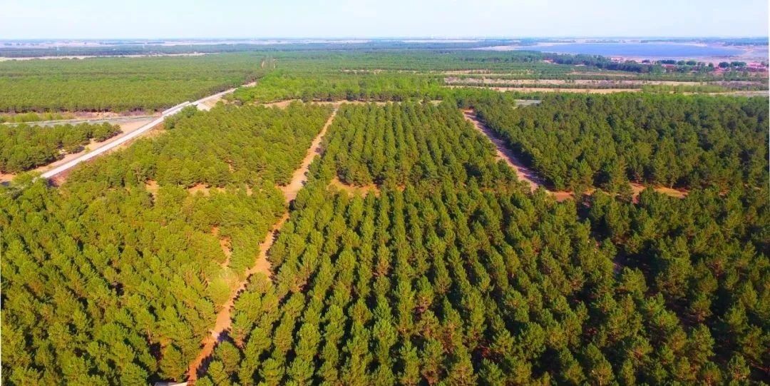 1748312879932260.jpg 95009770862196d3c7527d933a3ba60d.jpg