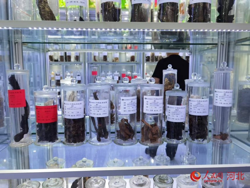 以岭中医药标本馆陈列的真伪中.png