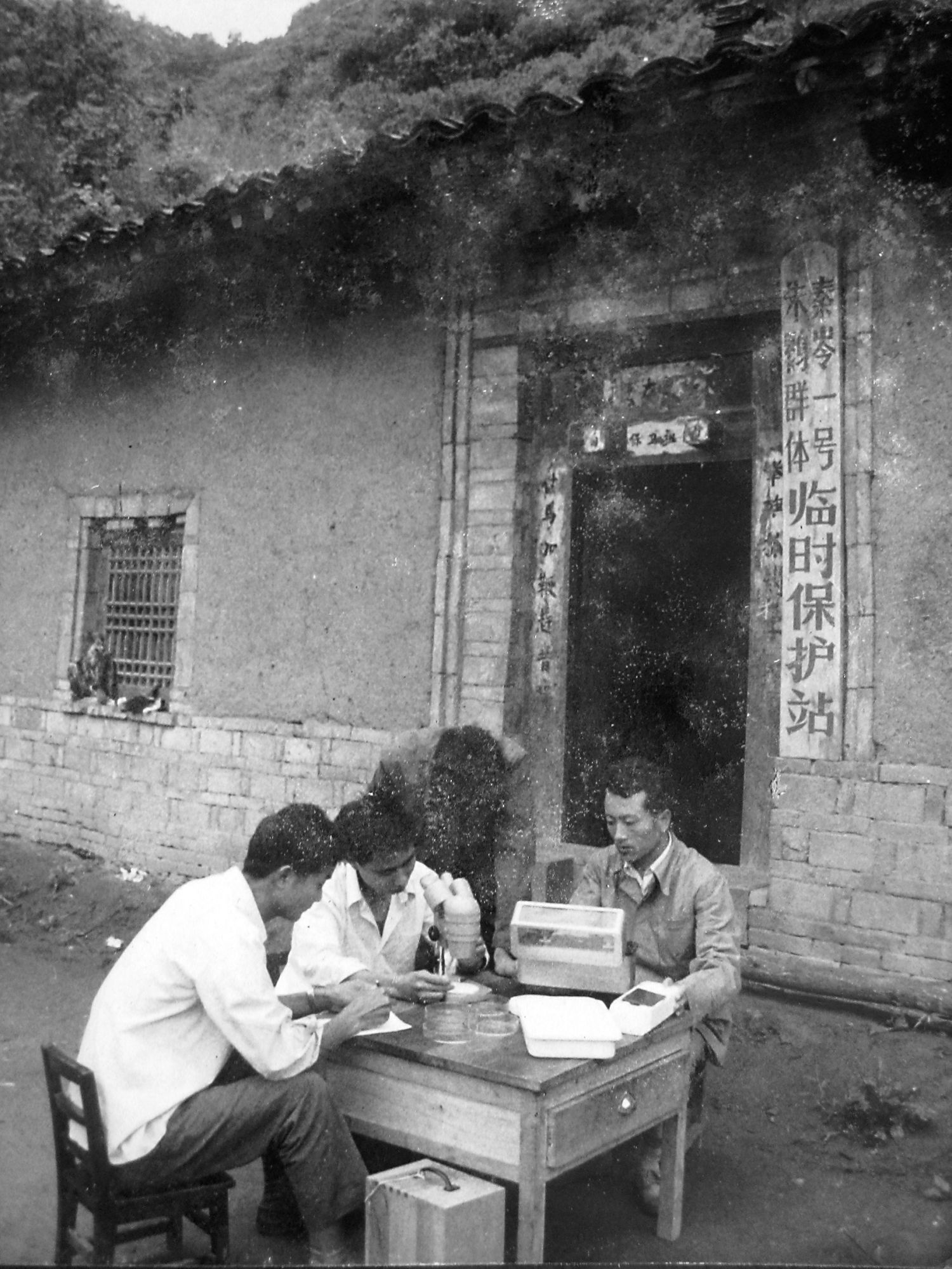 1765265709606693.jpg 秦岭一号朱鹮群体临时保护站。.jpg