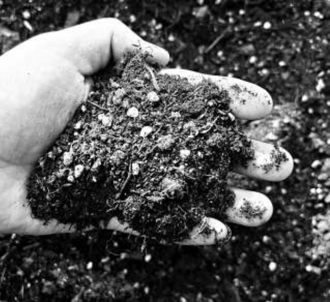 1766057206669962.png 枯枝落叶制成的“黑土”。 受.png