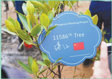 1770025396696978.png 在广东湛江市金沙湾红树林科普基地开展的一场植111.png