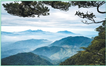 1770025462796440.png 海南热带雨林国家公园五指山片区。.png