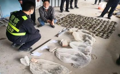 17人猎杀买卖禾花雀获刑：“极危动物”仅5元一只收购，催肥后20多元卖出？