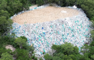 沿海防护林出现4座“垃圾山”？当地连夜整改