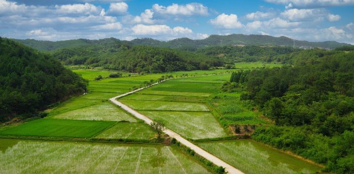 完善环境标准体系，推动“十五五”大气污染治理