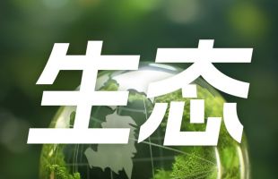 建设绿色低碳的美丽城市