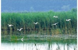 生物多样性保护评价结果将纳入政绩考核