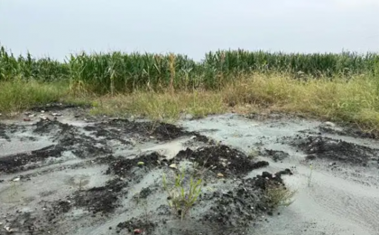 盗采盗挖砂石 堆埋矿渣垃圾？