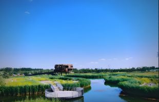 温榆河公园：北京最大的城市绿肺，也是市民乐园
