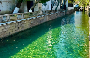 江南诗意 果冻河晶莹剔透倒映江南之美