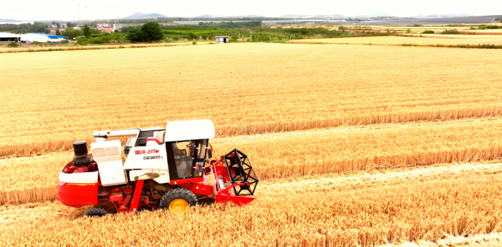 聚焦“小而美”，科技向善利万家