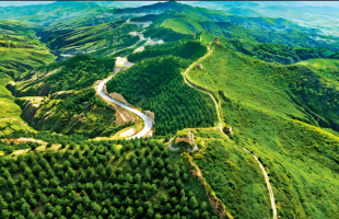 “三北”工程：促农护牧兴林富民的全球生态治理典范