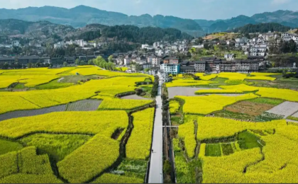 向世界展现中国乡村发展的和美画卷