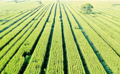 这个“重中之重”如何抓