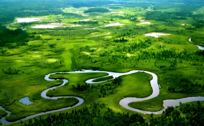 大国五年丨“中国绿”,绘就高质量发展底色