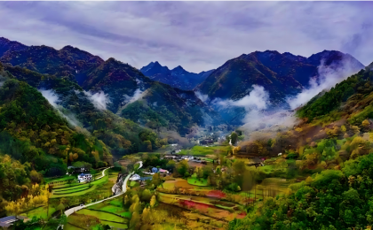 湖北秦岭地区跨区域生态保护修复协作成效明显