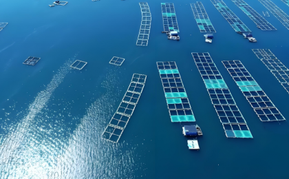 前三季度海洋生产总值同比增长5.6%