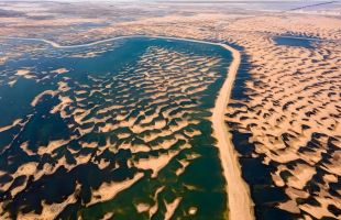 内蒙古推动黄河流域生态保护和高质量发展走深走实