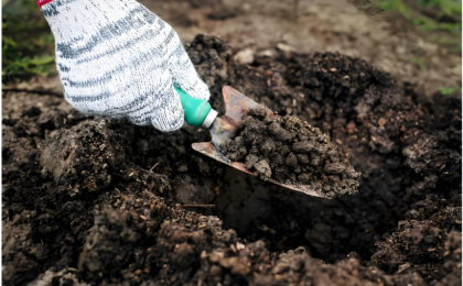 “毒营养土”背后的监管漏洞必须堵上  ？