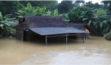 越南暴雨引发洪灾致41人死亡  