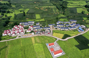 扎实推进乡村建设 绘就和美乡村新画卷