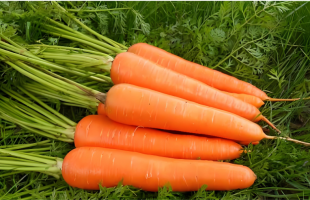 河南周口：农产品这样上“云端”  