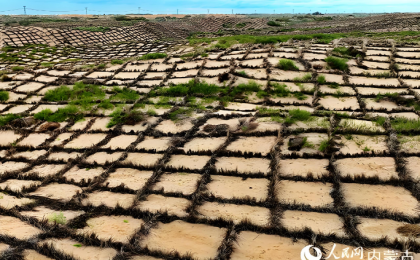 “十四五”时期内蒙古完成防沙治沙6688万亩